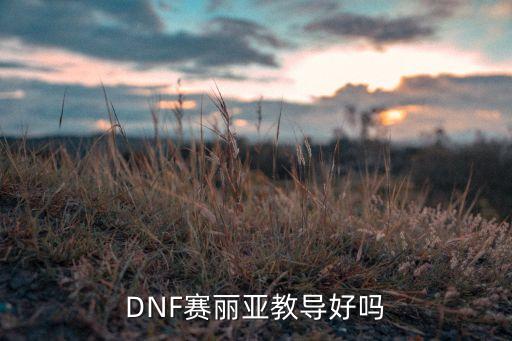 dnf手游赛丽亚怎么样，DNF赛丽亚教导好吗