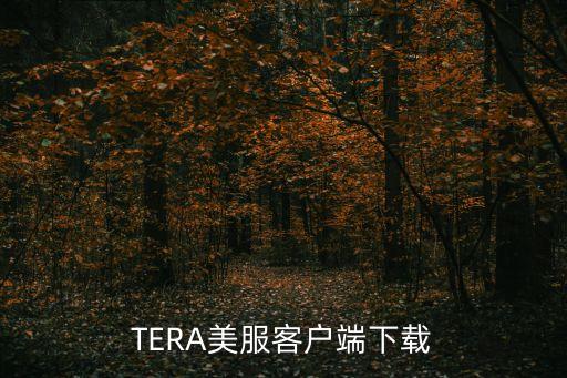 TERA美服客户端下载