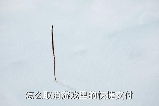 怎么取消游戏里的快捷支付