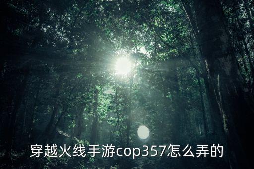 穿越火线手游cop357怎么弄的