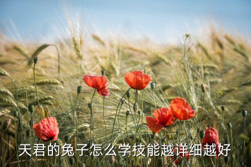 轩辕传奇手游灵兔技能怎么玩，玉兔 怎么学技能