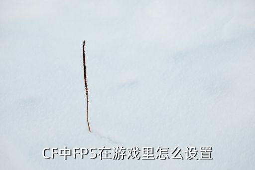 穿越火线手游怎么解锁极限帧数，CF中FPS在游戏里怎么设置