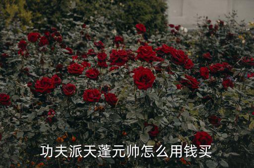 功夫派天蓬元帅怎么用钱买