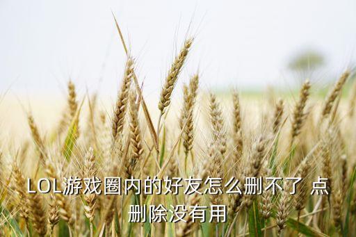LOL游戏圈内的好友怎么删不了 点删除没有用