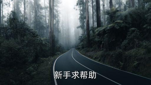 新手求帮助