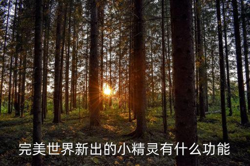 完美世界新出的小精灵有什么功能