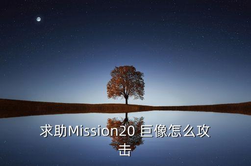求助Mission20 巨像怎么攻击