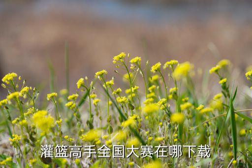 灌篮高手全国大赛在哪下载