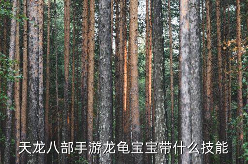 天龙八部手游龙龟宝宝带什么技能