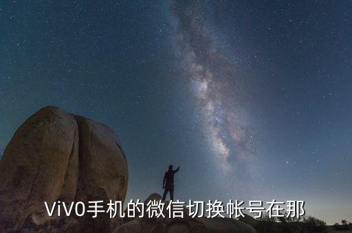 ViV0手机的微信切换帐号在那