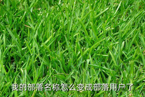 方舟手游怎么隐藏自己的部落名称，怎样才能改部落名称