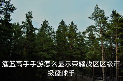 灌篮高手手游怎么显示荣耀战区区级市级篮球手