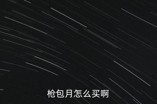 枪包月怎么买啊