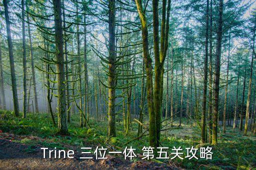 Trine 三位一体 第五关攻略