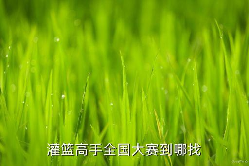 灌篮高手全国大赛到哪找