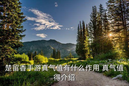 楚留香手游真气值有什么作用 真气值得介绍