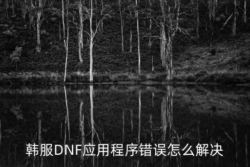 韩服DNF应用程序错误怎么解决