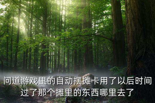 问道游戏里的自动摆摊卡用了以后时间过了那个摊里的东西哪里去了