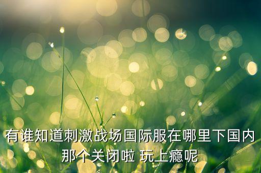 有谁知道刺激战场国际服在哪里下国内那个关闭啦 玩上瘾呢