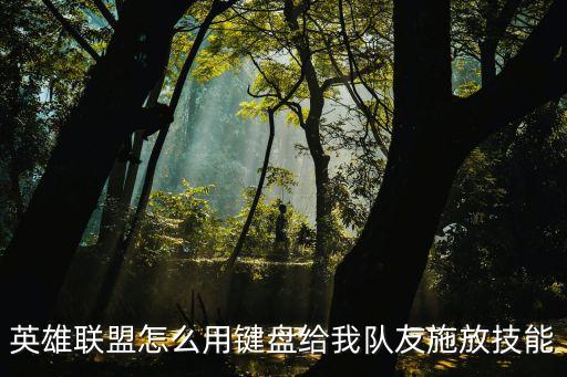 英雄联盟怎么用键盘给我队友施放技能