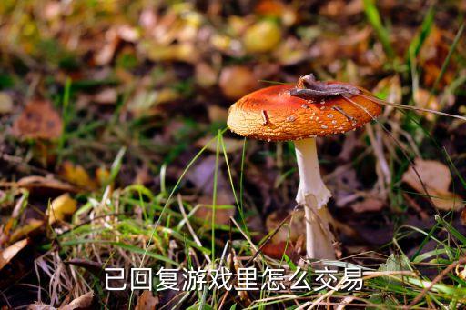 已回复游戏里怎么交易