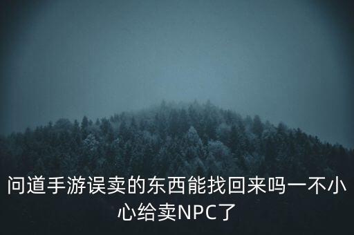 问道手游误卖的东西能找回来吗一不小心给卖NPC了