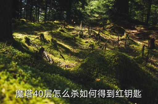 dnf手游塔40层瞎子怎么打，DNF刷塔技巧40层以上的