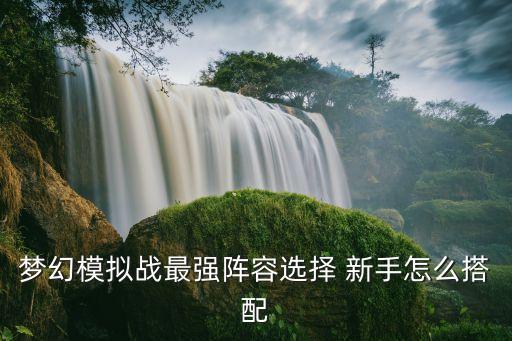 梦幻模拟战手游两个奶怎么选，虫界战争2怎么选蚂蚁