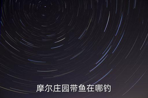 摩尔庄园带鱼在哪钓