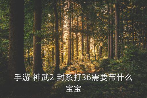 手游 神武2 封系打36需要带什么宝宝