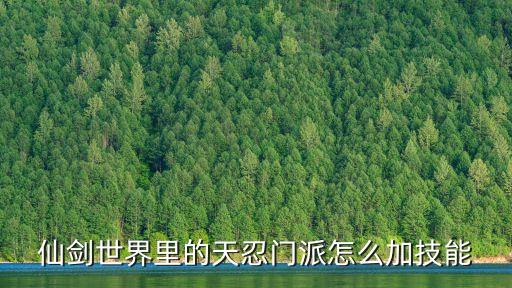 仙剑世界里的天忍门派怎么加技能