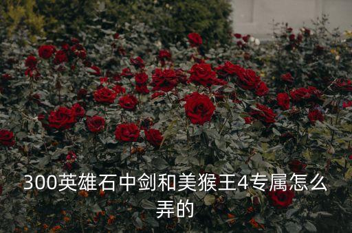 300英雄石中剑和美猴王4专属怎么弄的