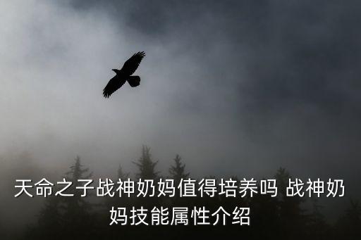 完美世界手游天命之子怎么样，手游天命之子的光奶有出过泳装吗有的话发出来看看
