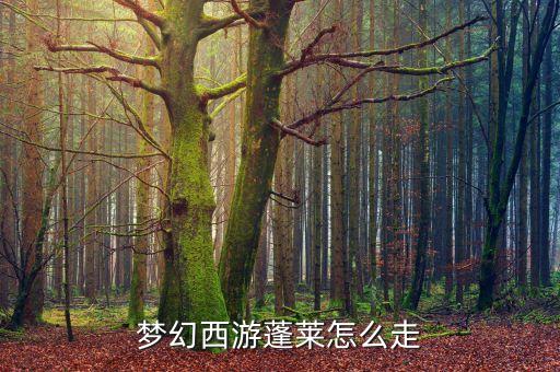 梦幻西游蓬莱怎么走