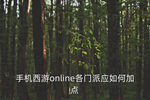 手游万豪怎么加点，WK加点方式高手进