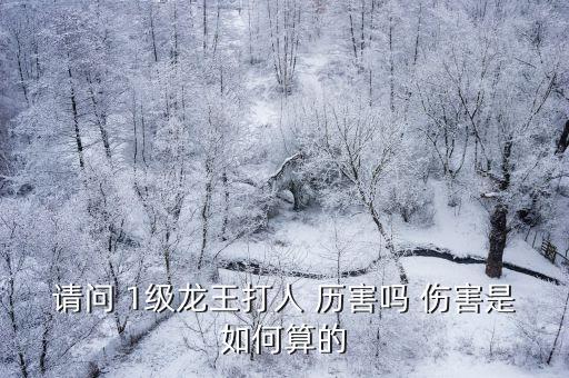 请问 1级龙王打人 历害吗 伤害是如何算的