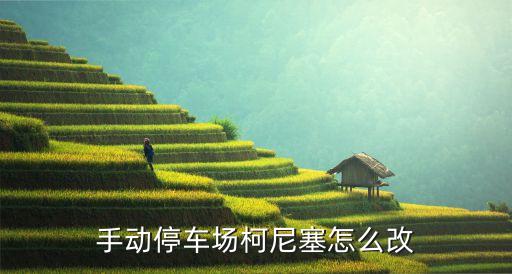 手动停车场柯尼塞怎么改