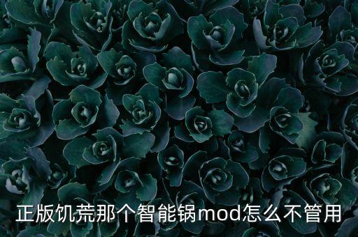 正版饥荒那个智能锅mod怎么不管用