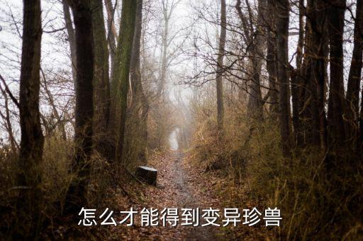剑网三手游异变怎么获得，神武如何获得变异宠物
