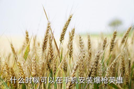 什么时候可以在手机安装爆枪英雄