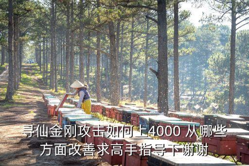 寻仙手游金刚怎么升战力，寻仙金刚攻击如何上4000 从哪些方面改善求高手指导下谢谢