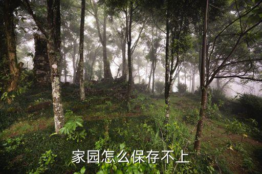 家园怎么保存不上