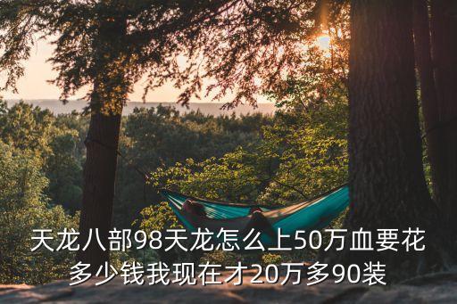天龙八部98天龙怎么上50万血要花多少钱我现在才20万多90装