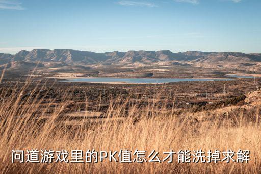 问道手游强pk怎么去掉，问道手游恶意pk怎么制止