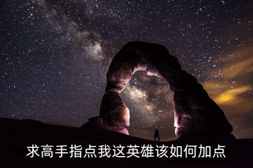 求高手指点我这英雄该如何加点