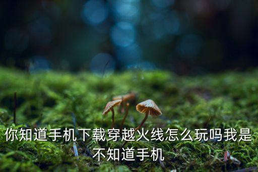 你知道手机下载穿越火线怎么玩吗我是不知道手机