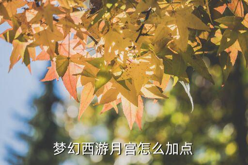 梦幻西游月宫怎么加点