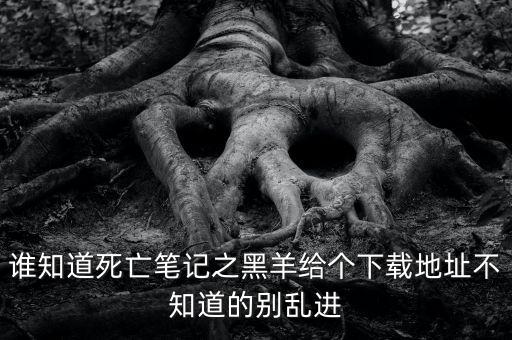 谁知道死亡笔记之黑羊给个下载地址不知道的别乱进