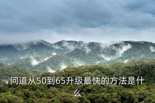 问道从50到65升级最快的方法是什么