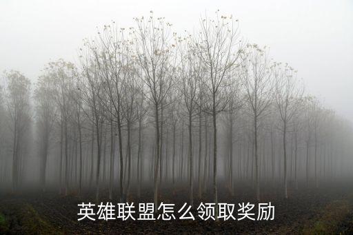 联盟手游安全中心奖励怎么领，英雄联盟怎么领取奖励